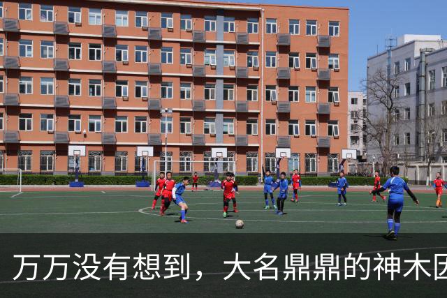 万万没有想到，大名鼎鼎的神木因为一根灯杆火了......