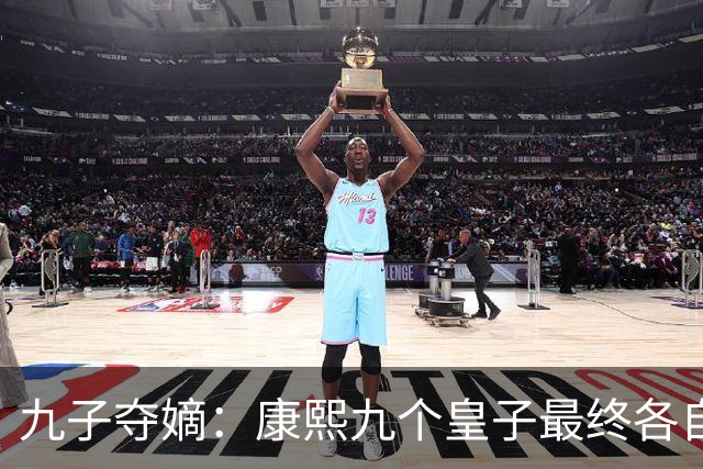九子夺嫡：康熙九个皇子最终各自下场