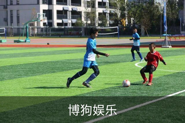 关于博狗娱乐