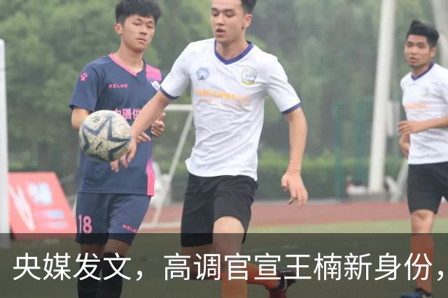 央媒发文，高调官宣王楠新身份，资产查封被带走调查传闻早有真相