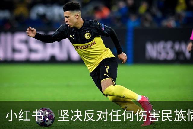 小红书：坚决反对任何伤害民族情感的行为，与姆巴佩内容合作已于2024年12月31日结束，目前正持续核查并下架相关物料