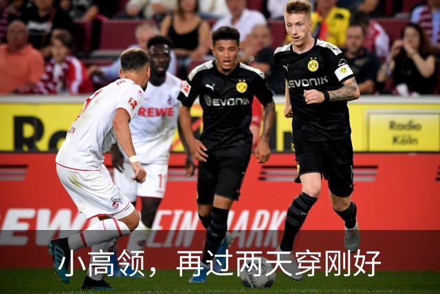 小高领,再过两天穿刚好