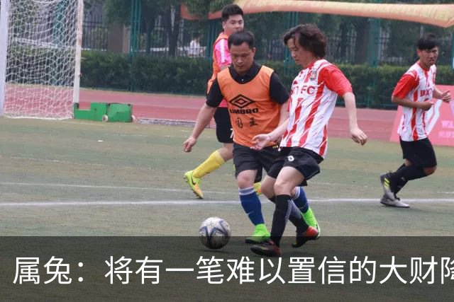属兔:将有一笔难以置信的大财降临,2027年,你要乐开花