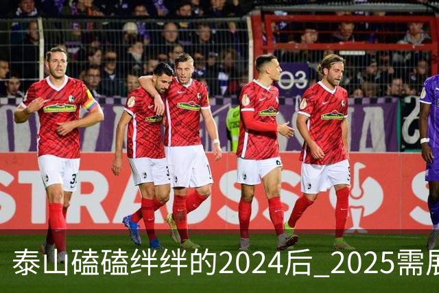 泰山磕磕绊绊的2024后 2025需展现清晰的发展方向