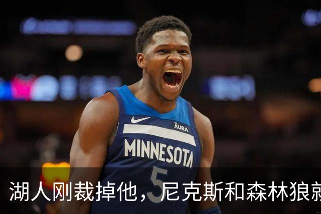 湖人刚裁掉他，尼克斯和森林狼就盯上了