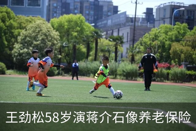 王劲松58岁演蒋介石像养老保险