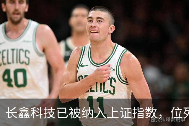 长鑫科技已被纳入上证指数，位列第一大权重股